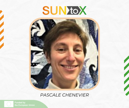 Sun-To-X - CEA blog